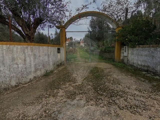Quinta venda em Tomar, Santarém