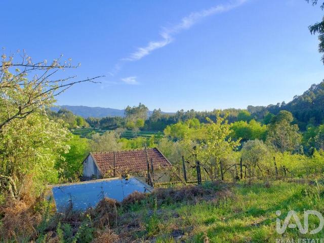 Quinta venda em São Pedro Do Sul, Viseu
