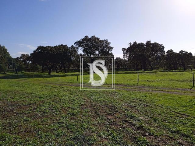 Quinta venda em Santiago Do Cacém, Setúbal