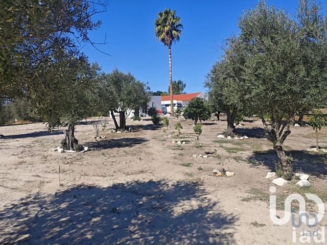 Vivenda venda em Coruche, Santarém