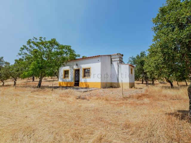 Vivenda venda em Vila Verde de Ficalho, Serpa