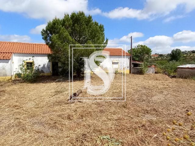 Quinta venda em Santarém