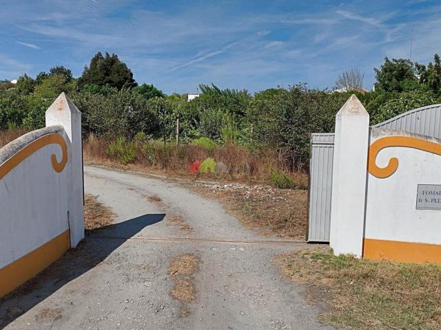 Quinta venda em Foros de Vale de Figueira, Montemor-o-novo