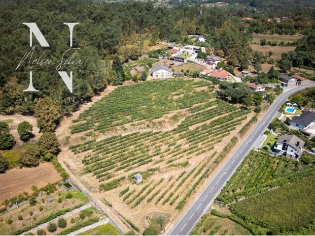 Quinta venda em Amares, Braga