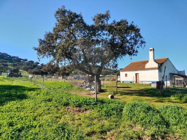 Quinta venda em Évora, Aldeia da Venda