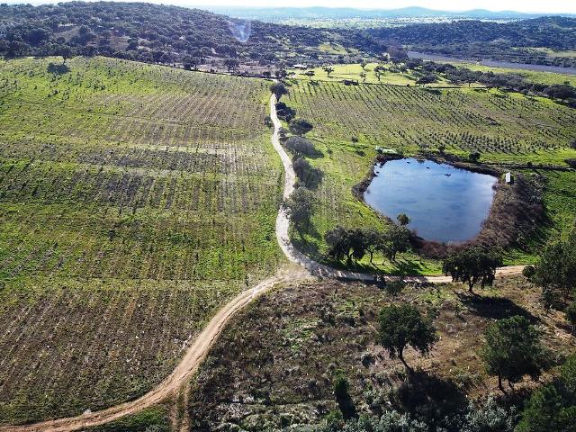 Quinta venda em Alegrete, Portalegre