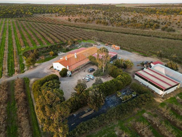 Quinta venda em Beja, Messejana