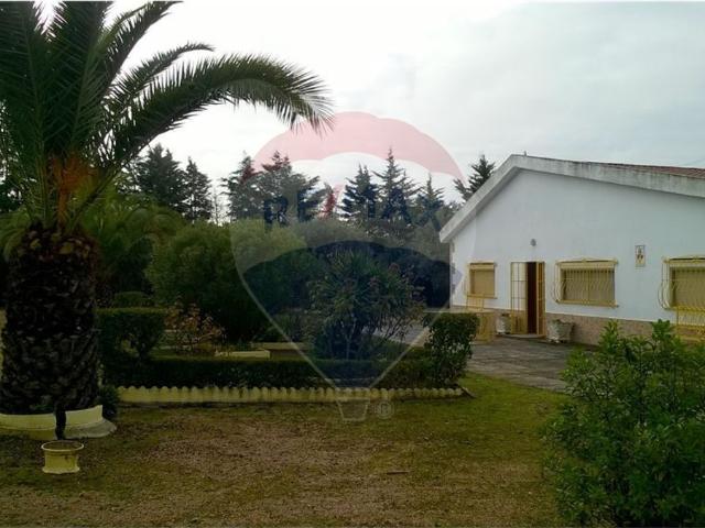 Quinta venda em Campo Maior, Portalegre