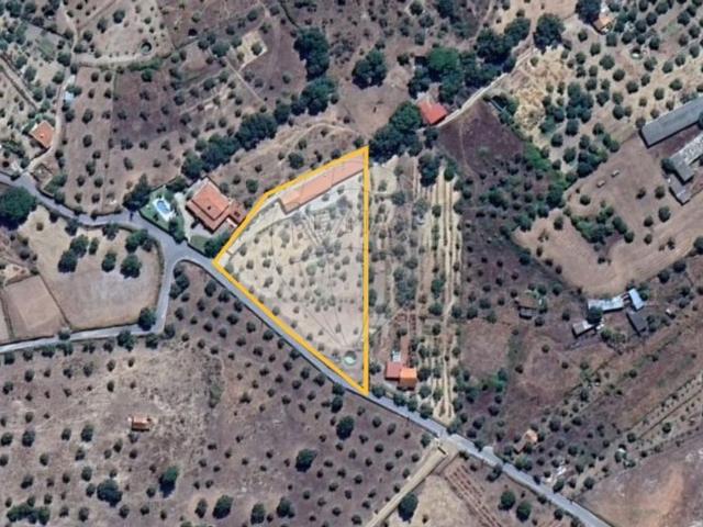 Quinta venda em Castelo Branco