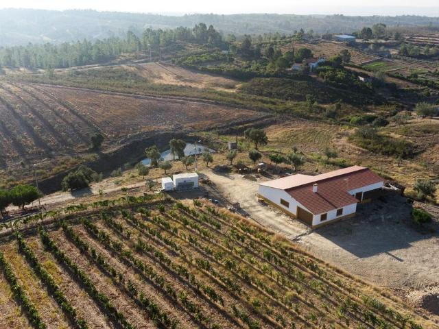 Quinta venda em Castelo Branco