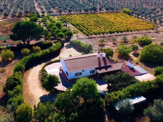 Quinta venda em Estremoz, Évora
