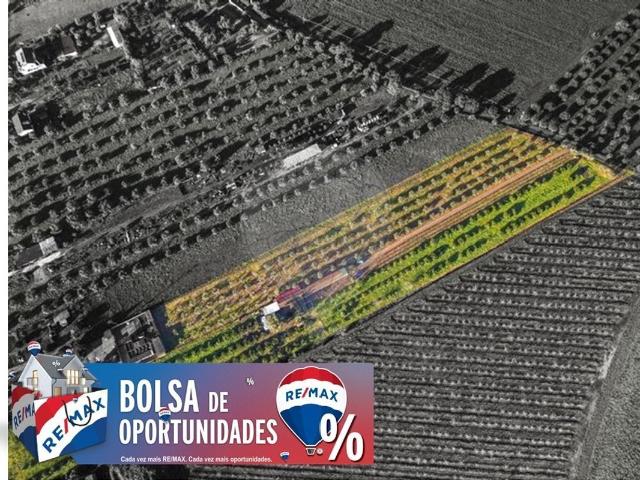 Quinta venda em Casal das Flores, Golegã