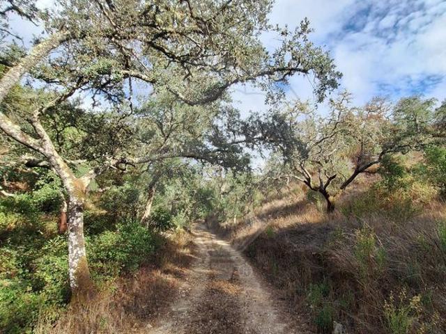 Quinta venda em Odemira, Beja