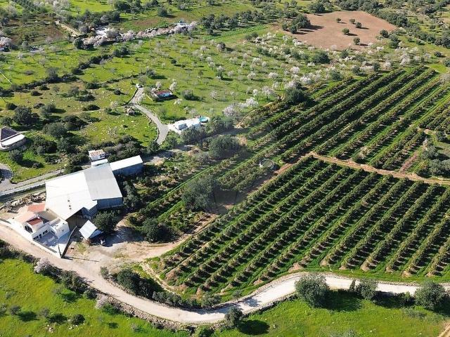 Quinta venda em Olhão, Faro