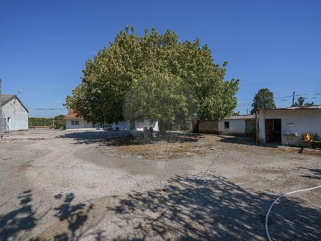 Quinta venda em Judia, Montijo