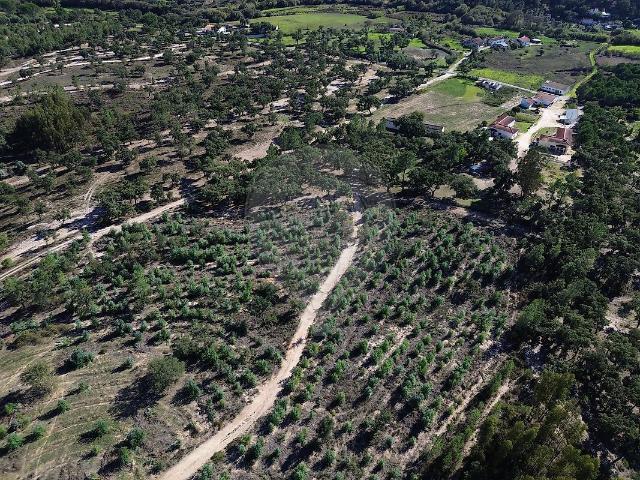 Quinta venda em Vale do Bispo Fundeiro, Ponte De Sor