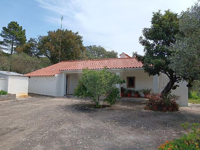 Quinta venda em Portalegre