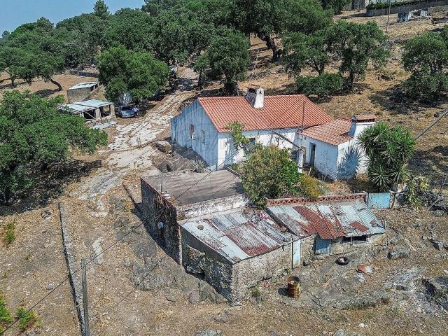 Quinta venda em Ribeira de Nisa e Carreiras, Portalegre