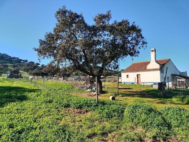 Quinta venda em Aldeia da Venda, Santiago Maior