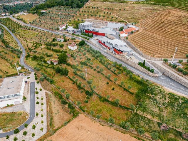 Quinta venda em Tarouca, Viseu