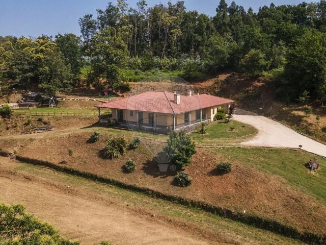 Quinta venda em Casal da Auzenda, Ventosa
