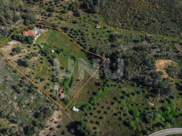 Quinta venda em Castelo Branco