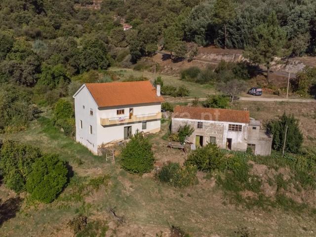 Quinta venda em Castelo Branco