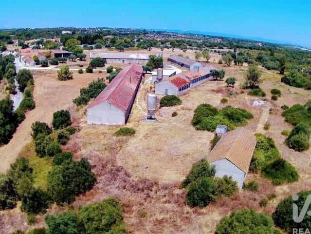 Vivenda venda em Vila Nova do Coito, Santarém