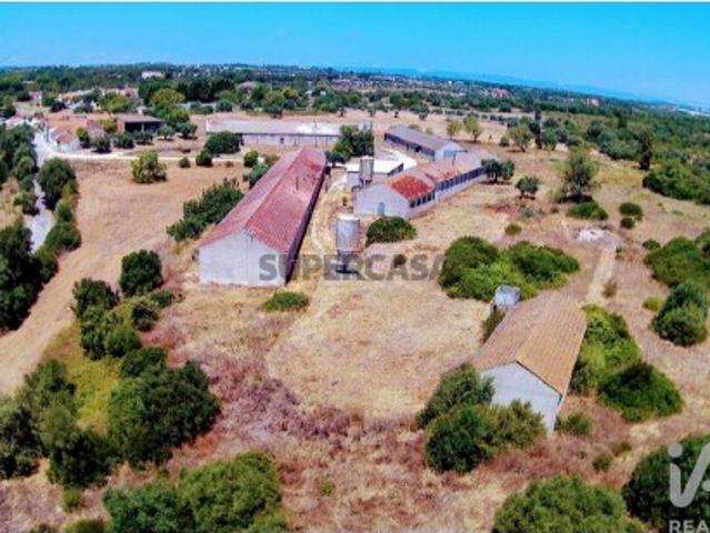 Casa venda em Vila Nova do Coito, Santarém