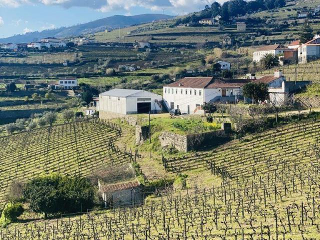 Vivenda venda em Peso Da Régua, Vila Real