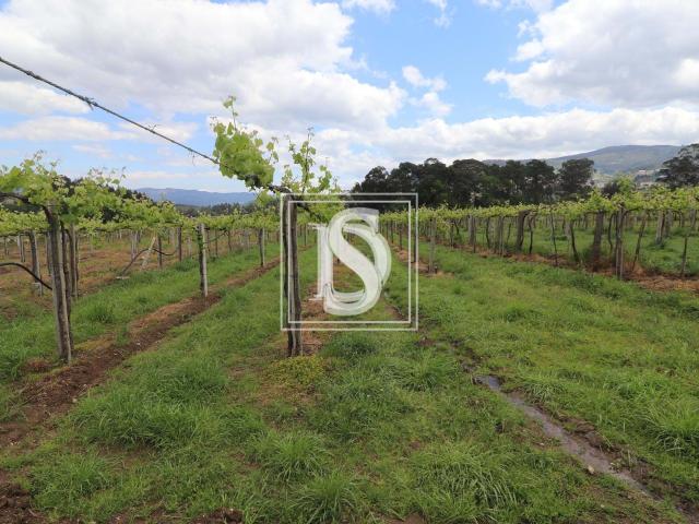 Quinta venda em Melgaço, Viana Do Castelo