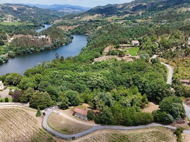 Quinta venda em Folhada, Várzea Ovelha E Aliviada