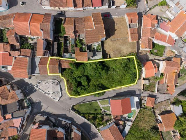Quinta venda em Alcobaça, Leiria