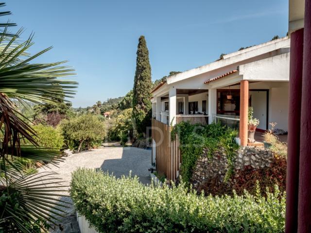 Quinta venda em Azambuja, Lisboa