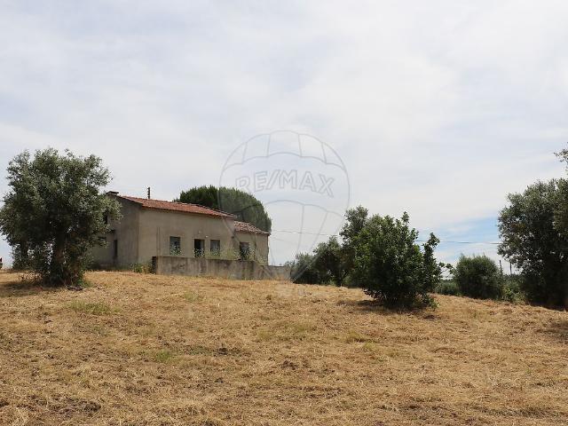 Quinta venda em Abrantes, Santarém
