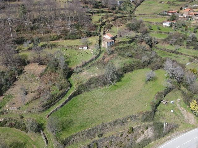 Quinta venda em Guarda, Manteigas