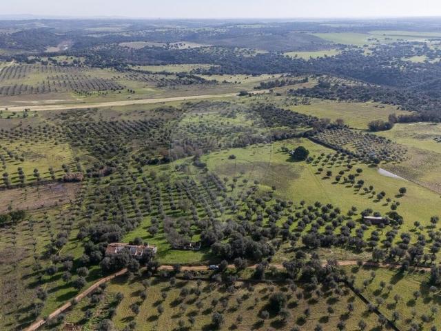 Quinta venda em Portalegre, Figueira e Barros