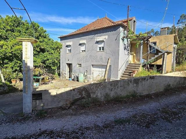 Quinta venda em Cernache do Bonjardim, Nesperal e Palhais, Sertã
