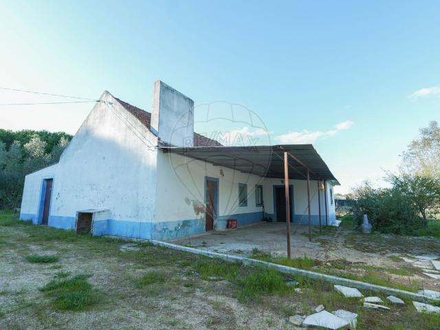 Quinta venda em Santarém
