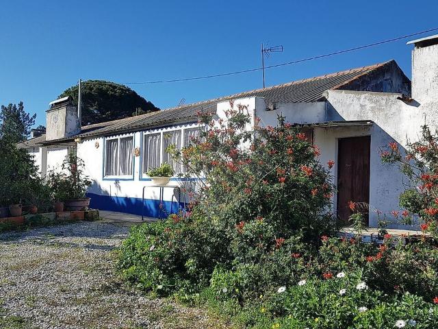 Quinta venda em Setúbal, Vale Figueira