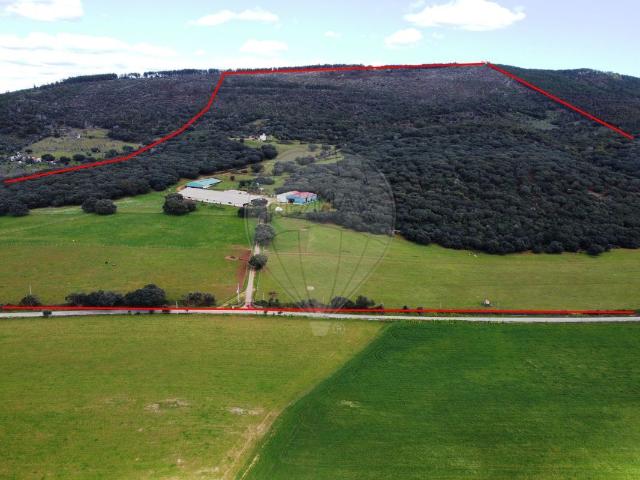 Quinta venda em Portalegre, Carvalhal