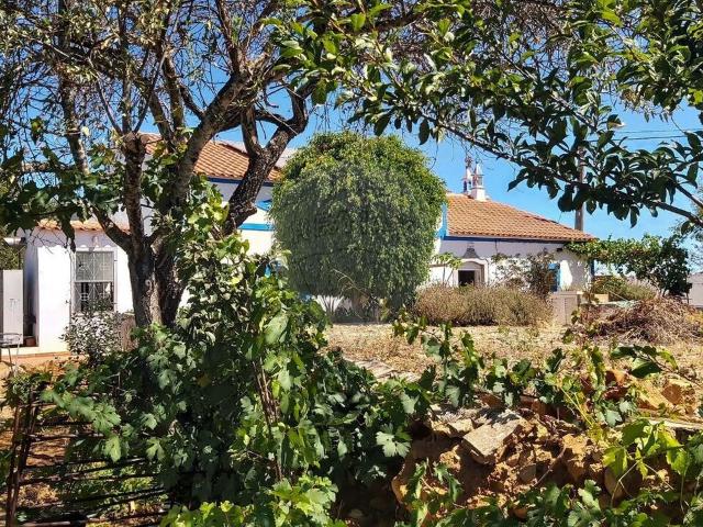 Quinta venda em Silves, Faro