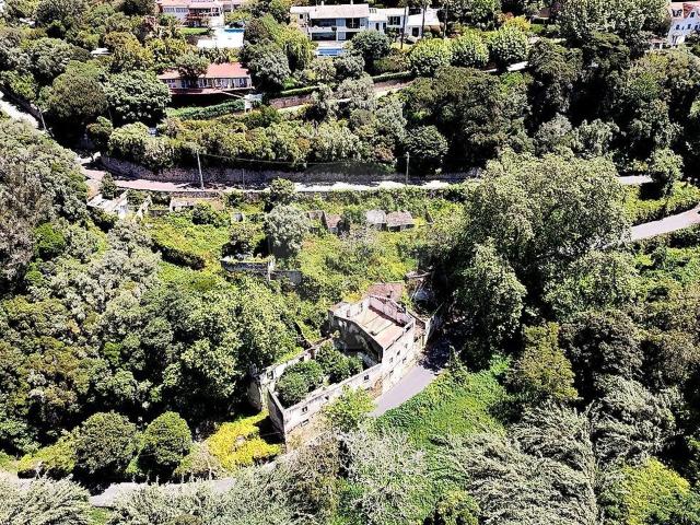 Quinta venda em Sintra, Sintra (Santa Maria e São Miguel, São Martinho e São Pedro de Penaferrim)