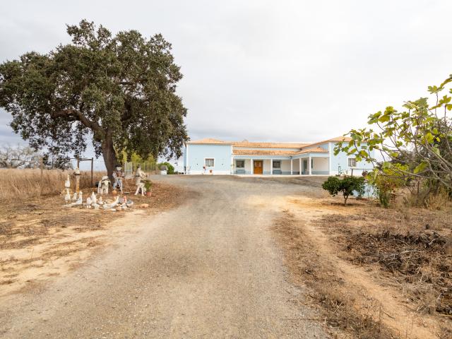 Quinta venda em Figueira dos Cavaleiros, Ferreira Do Alentejo