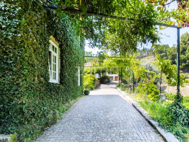 Quinta venda em Amarante, Porto