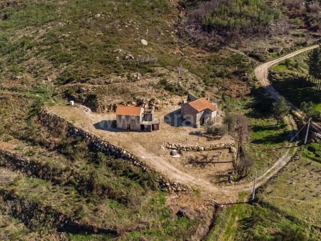 Quinta venda em Castelo Branco