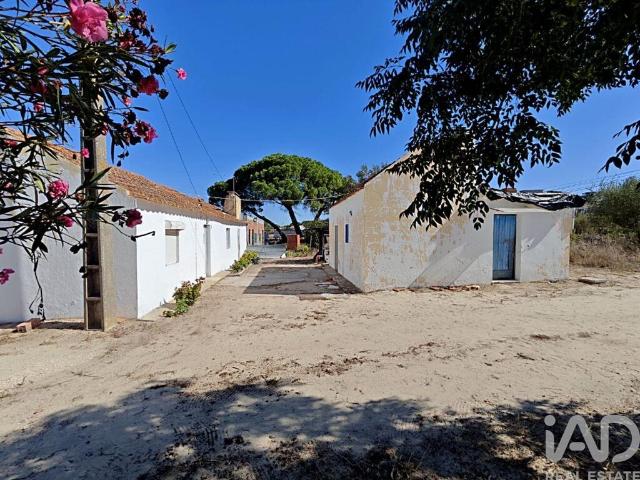 Quinta venda em Coruche