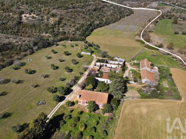 Quinta venda em Torres Novas, Santarém
