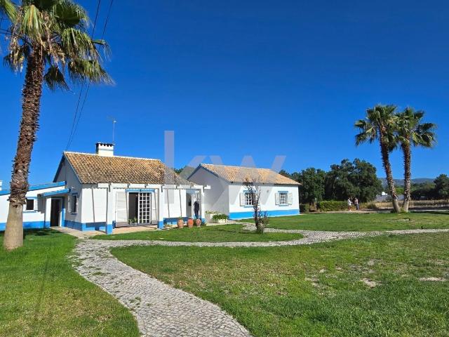 Quinta venda em Azeitão (São Lourenço e São Simão), Setúbal