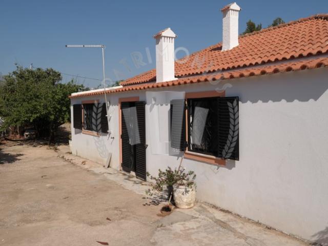 Quinta venda em Portimão, Faro